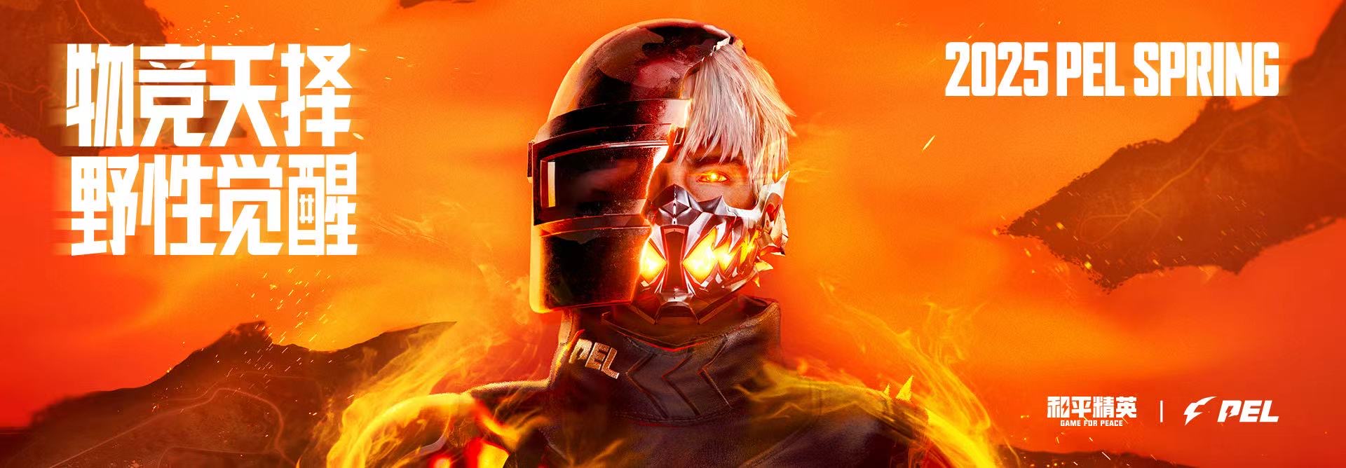 玩家心声：我为何选择或抵制和平精英辅助软件